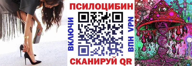 Псилоцибиновые грибы Psilocybe Кохма
