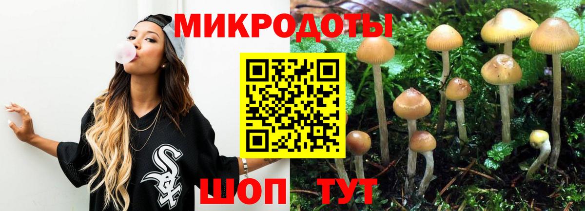 Галлюциногенные грибы GOLDEN TEACHER Кохма