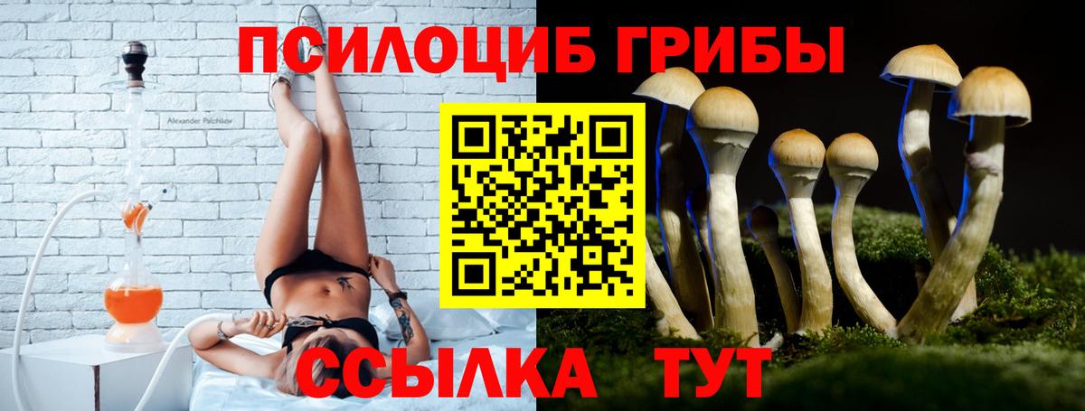 Кохма  Псилоцибиновые грибы Cubensis  Галлюциногенные грибы Cubensis  Вход с VPN 